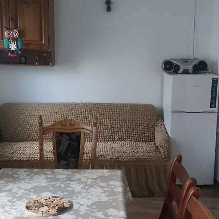 Appartement Casa M à Câmpulung Moldovenesc Extérieur photo