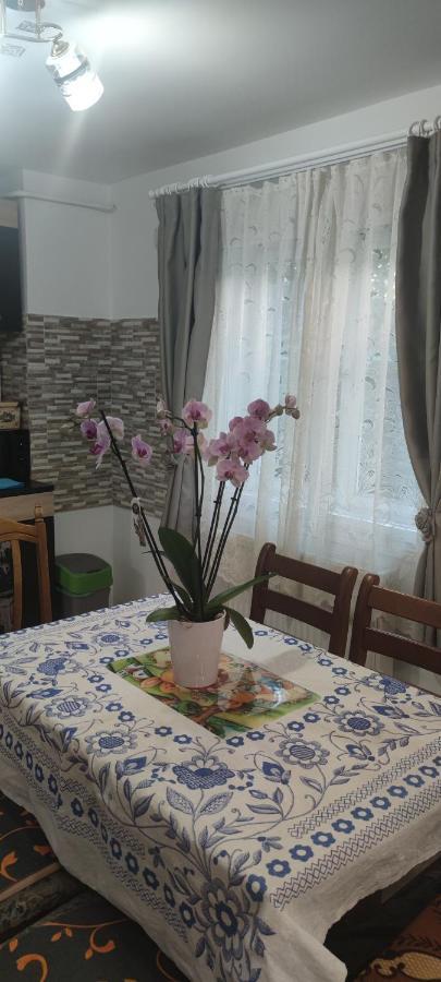 Appartement Casa M à Câmpulung Moldovenesc Extérieur photo
